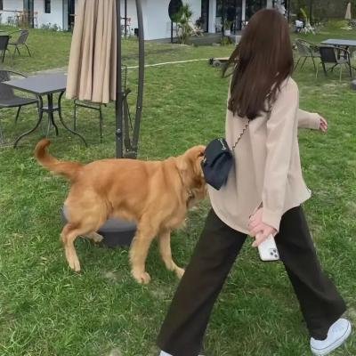 再见的延续
